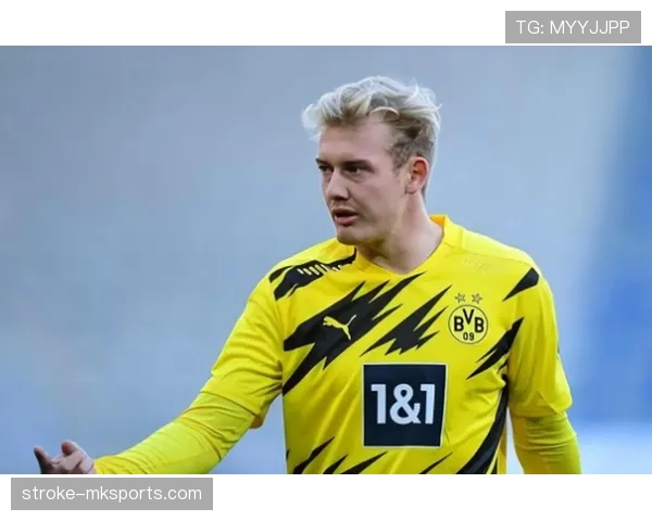 布兰特比赛稳定性